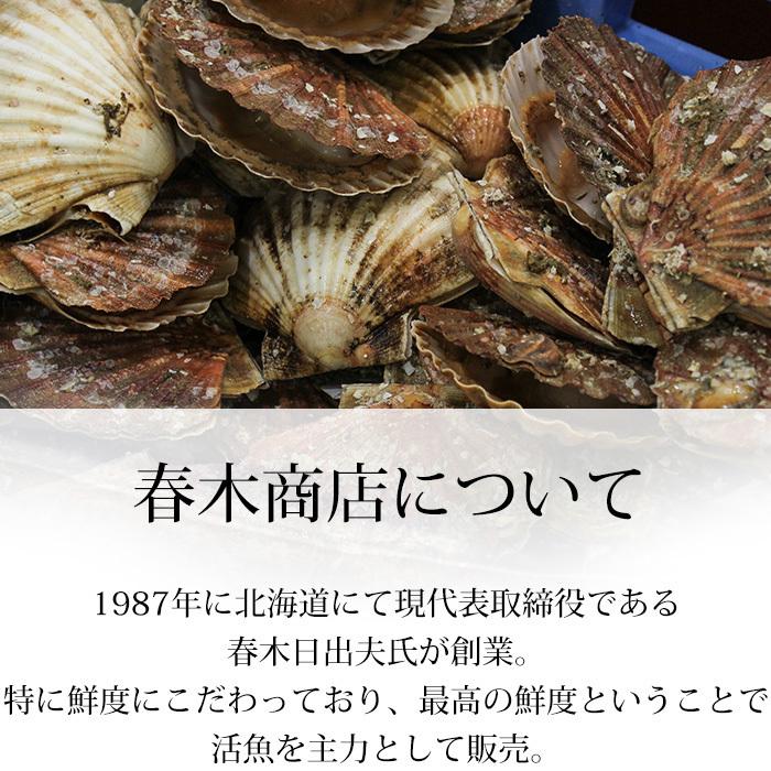 貝類 北海道産 天然活ホタテ 約3kg 約12〜18枚