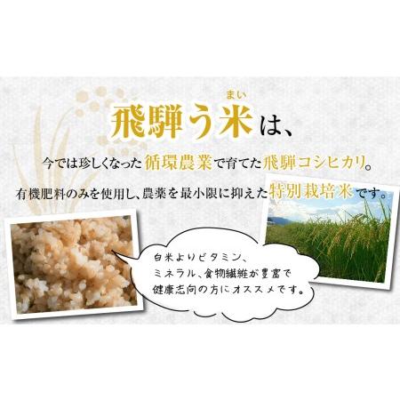 ふるさと納税 新米 ”飛騨う米” 玄米 5kg 有機肥料100％ 米 お米 受賞米 米コン3年連続特別優秀賞受賞米 令和5年度産 TR3201  岐阜県高山市