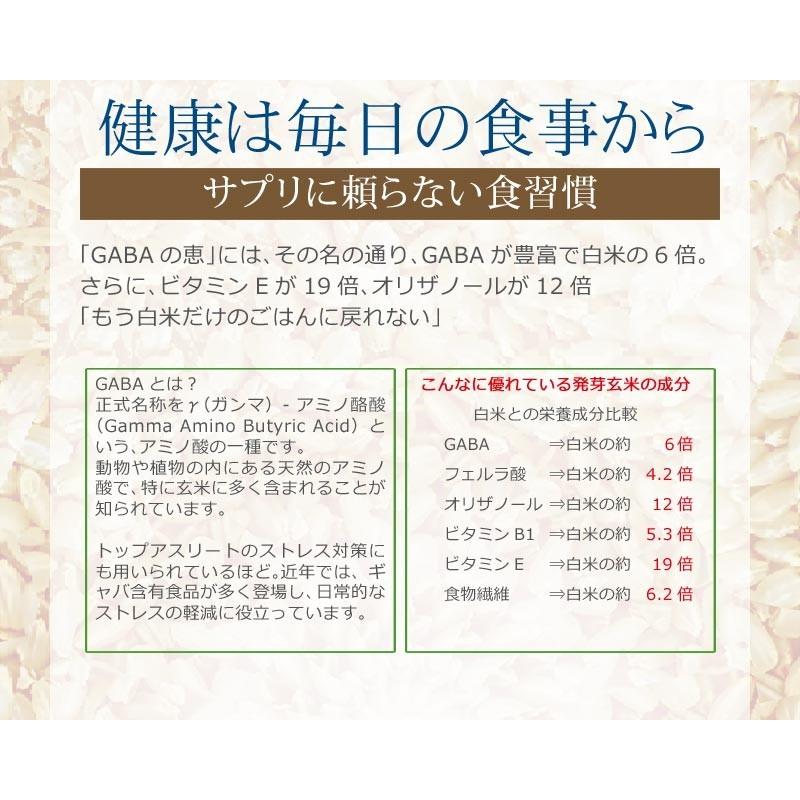 玄米 gABAの恵 国産 巨大胚芽米 ギャバ 300g 玄米 白米モードで炊けます 送料無料 国内産100％ お米 スーパーフード 食物繊維