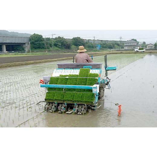 ふるさと納税 福岡県 みやま市 A103 みやまのきよみず米 ヒノヒカリ 10kg 玄米