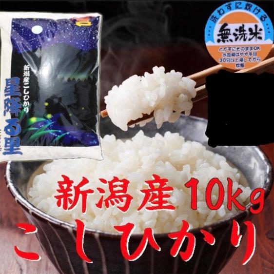 米・穀物 無洗米 新米新潟県産コシヒカリ10キロ無洗米令和5年産プレゼント付き 産地直送