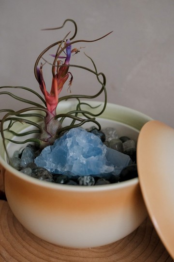 【 如此碗美 天青石 × 空氣鳳梨 】客製化 開幕禮 能量水晶 礦石