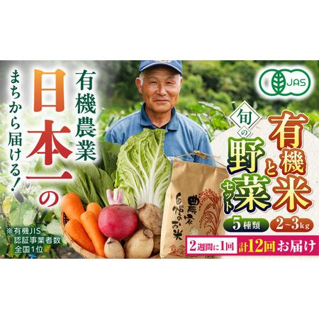 ふるさと納税 新米 有機米 2kg 旬の野菜 5種セット 詰め合わせ 野菜詰め合わせ 熊本県産有機野菜 山都町産有機野菜 産地直.. 熊本県山都町