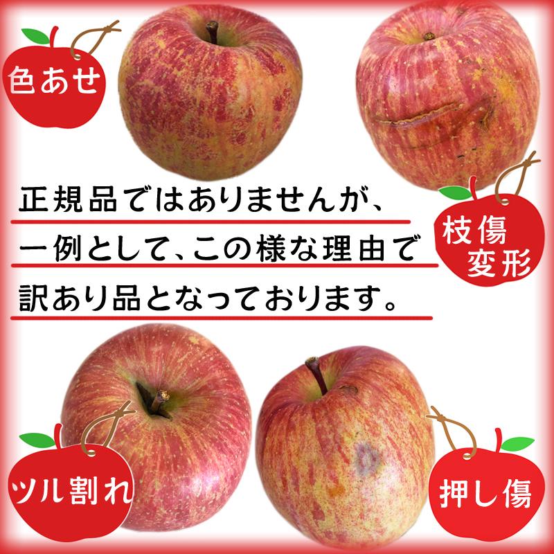 予約販売 訳あり りんご サンふじ 3kg 送料無料 山形県産 無選別 [ご家庭用りんご３キロ]