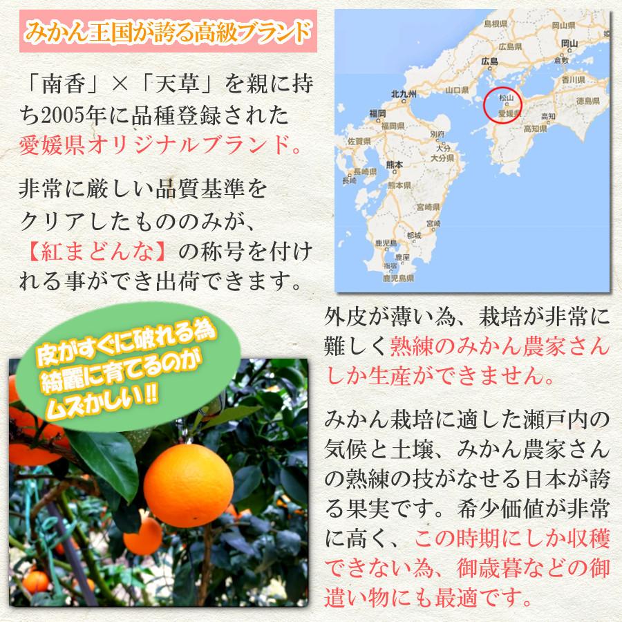 紅まどんな みかん 甘い 3kg 秀品 2023 御歳暮 食べ物 愛媛みかん ご当地 希少 ブランド 12月 旬 果物 高級 柑橘 通販 送料無料