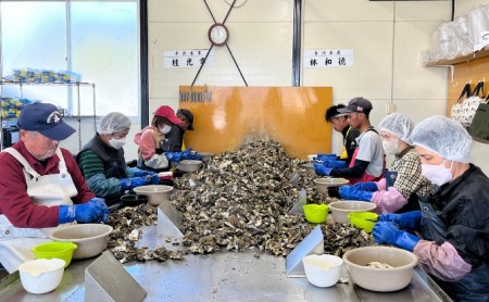 定期便旬の牡蠣を食べ比べ！ 姫路産 殻付き真牡蠣（加熱用）約4kg／カキ かき 貝類 兵庫県 特産品 1年牡蠣