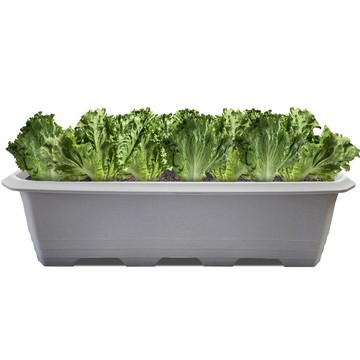 Hwabunworld 多用途基本款花盆/菜園盆  特大(88 x 26.5 x 20cm)  愛戀灰  1個