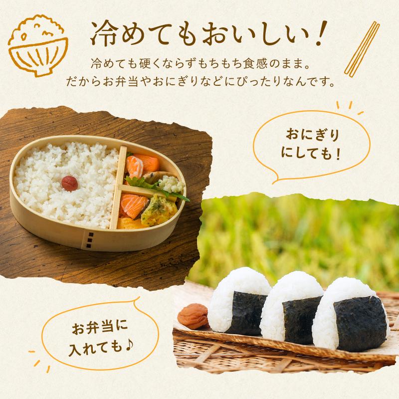 新米 令和5年産 無洗米 5kg 送料無料 米 お米 ミルキークイーン 流るる 野沢農産 長野県産 精米 無洗米5キロ