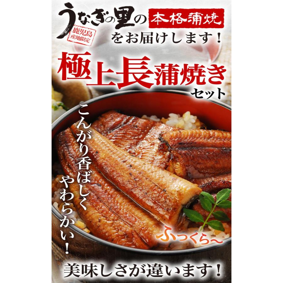 ポイント5倍 御歳暮 お歳暮 送料無料 ギフト うなぎ 蒲焼き 国産 プレゼント 鹿児島産 ブランド鰻 極上長蒲焼き2本 ギフトBOX グルメ クール