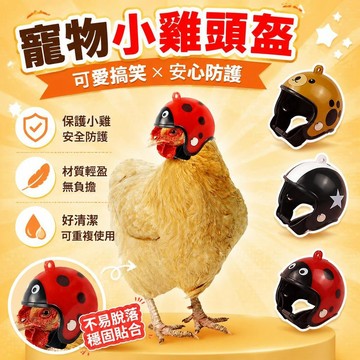 ⚡臺灣倉出⚡優選⭐爆款寵物頭盔小雞搞笑保護母雞鸚鵡鳥帽子可愛不脫落頭套寵物用品