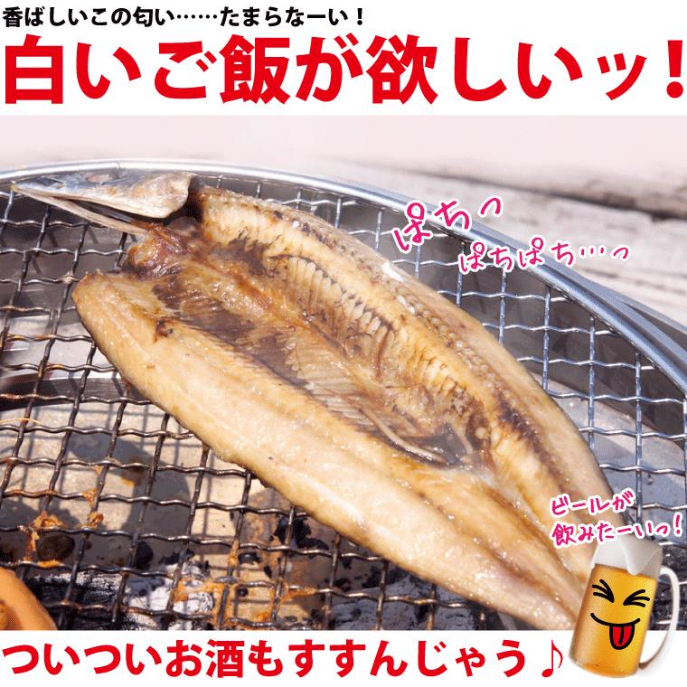 さんま 干物 6枚 サンマ 秋刀魚 干物セット 一夜干し 一夜干し魚 一夜干しセット ((冷凍)) 条件付送料無料