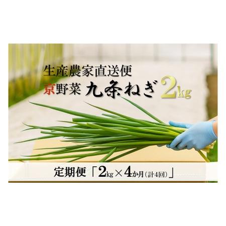 ふるさと納税 生産農家直送　京野菜・九条ねぎ　2kg×4回 京都府宇治田原町