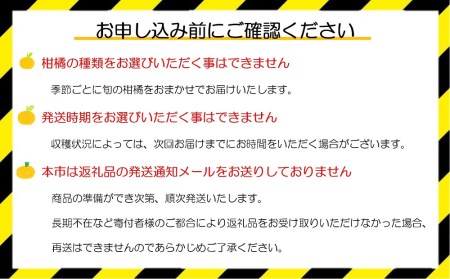 ②自然塾　季節の柑橘詰合せ