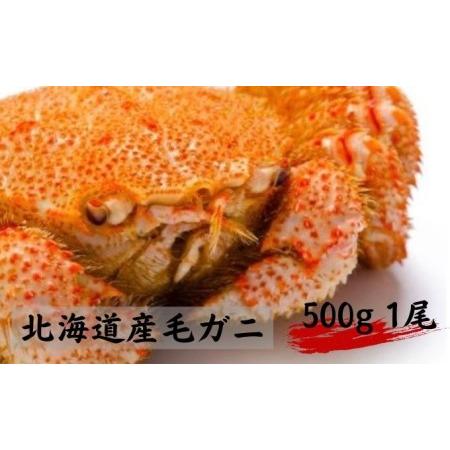 ふるさと納税 北海道産 冷凍 毛ガニ（大）約500g×1尾 北海道えりも町