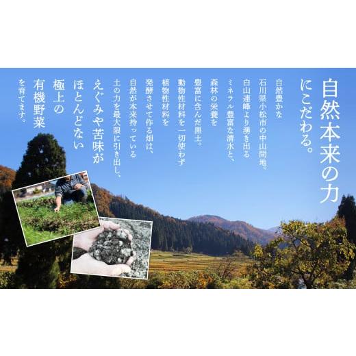 ふるさと納税 石川県 小松市 西田農園　季節の野菜詰合せ　Ｂセット