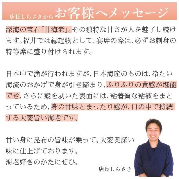 お歳暮 2023 ギフト 海鮮 寿司 お取り寄せグルメ 冷蔵 極上 甘エビ昆布締め寿司を福井から届いたその日が旬の味わい