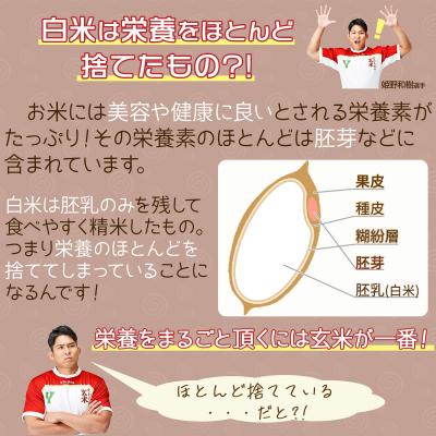 ふるさと納税 碧南市 やわらかい玄米 900g ※12回定期便　　H074-534