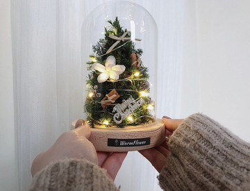 【聖誕禮盒】雪松聖誕樹玻璃盅 ー 溫暖經典 | 永生花/乾燥花
