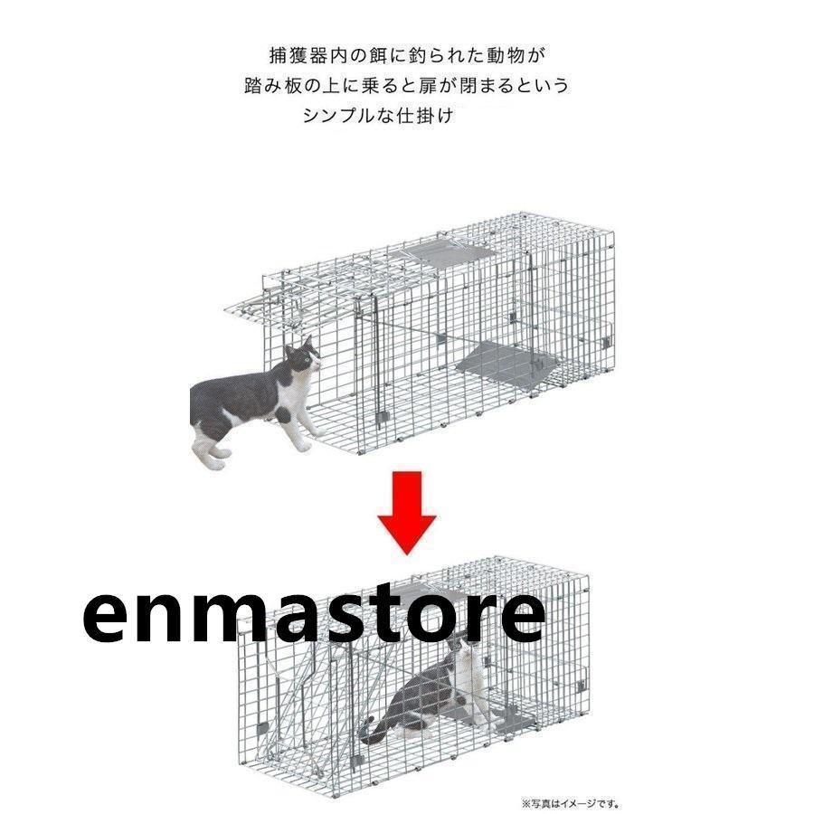 捕獲器 猫 アニマルトラップ トラップ Mサイズ 駆除 捕獲 踏板式 捕獲機 動物 罠 保護 庭 農業 アニマルキャッチャー LB-201