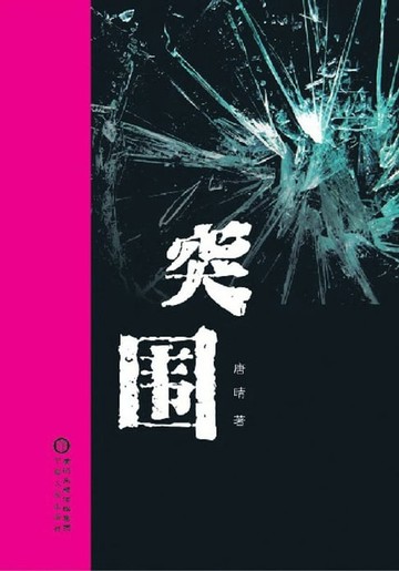 【電子書】突围