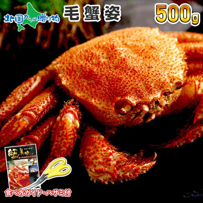 御歳暮 北海道 毛蟹 500g カニ ギフト かに 姿 蟹 ボイル 毛ガニ 海鮮 お土産 海産物