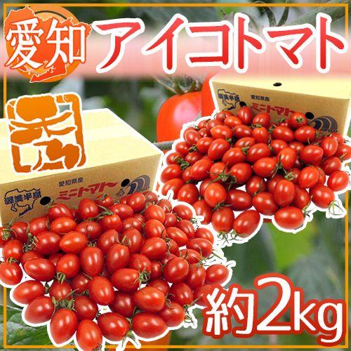 愛知県産 ”アイコトマト” 秀品 約2kg 送料無料