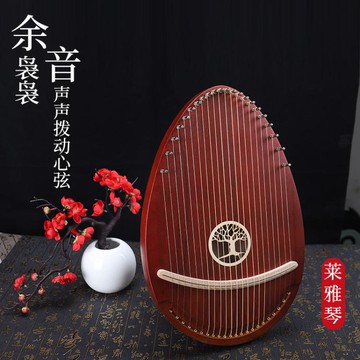 竖琴 拓米萊雅琴 yre19弦萊雅琴初學者小眾樂器箱式24弦小豎琴