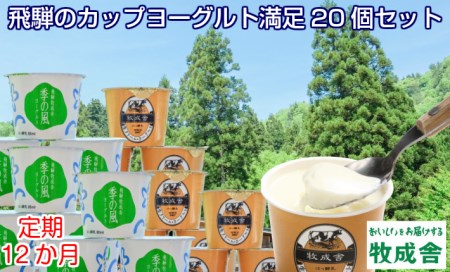 《定期便》牧成舎 ヨーグルト20個セット 12ヶ月定期便 生クリームヨーグルト 季の風 2種類[Q395]