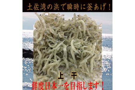 ちりめんじゃこ(上干)　約600ｇ（約300ｇ×2袋）鮮度日本一を目指します！浜で瞬時に釜揚げ