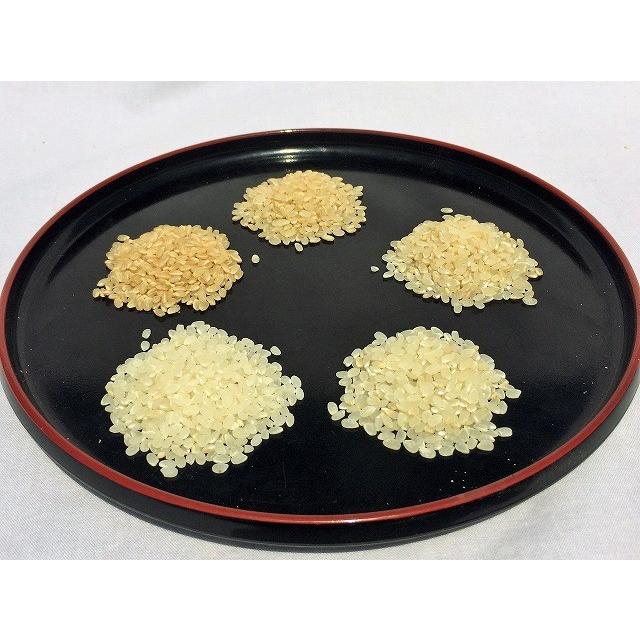 令和4年産　ミルキークイーン玄米　5kg　農薬・化学肥料不使用　精米無料（3分・5分・7分・白米）