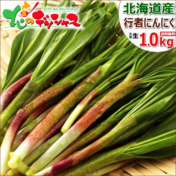 北海道産 山菜 行者にんにく 1kg(食用) 天然 行者ニンニク ギョウジャニンニク キトビロ 自宅用 人気 北海道 グルメ 送料無料 お取り寄せ