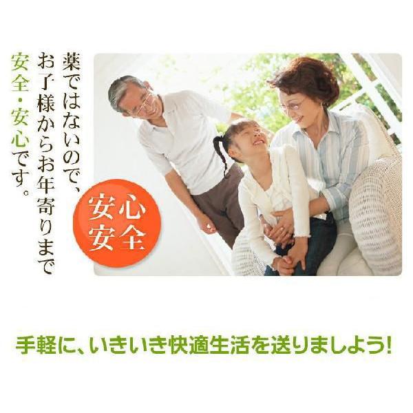 えのき茶　信州長野県産　無添加　５０ｇｘ５袋　乾燥えのき茸　干しえのき