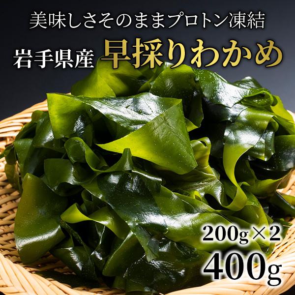 わかめ 3.11 岩手県産 生わかめ 早採りワカメ 200g×2個 冷凍 ワカメ 生ワカメ 