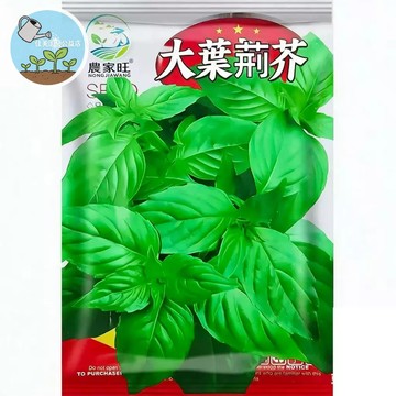 【原廠包裝】大葉荊芥種子（Large Leaf Shiso） 室內外盆栽 耐熱好種  易種好養 家庭盆栽