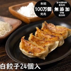 ふるさと納税 年間100万個完売!餃子の餃天の 秋田県秋田市