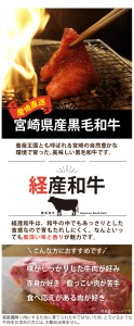 宮崎県産 黒毛和牛 赤身 ステーキ 130g×3枚 合計390g 牛肉 ステーキ 牛肉 冷凍 九州産 牛肉  送料無料 牛肉 和牛 牛肉