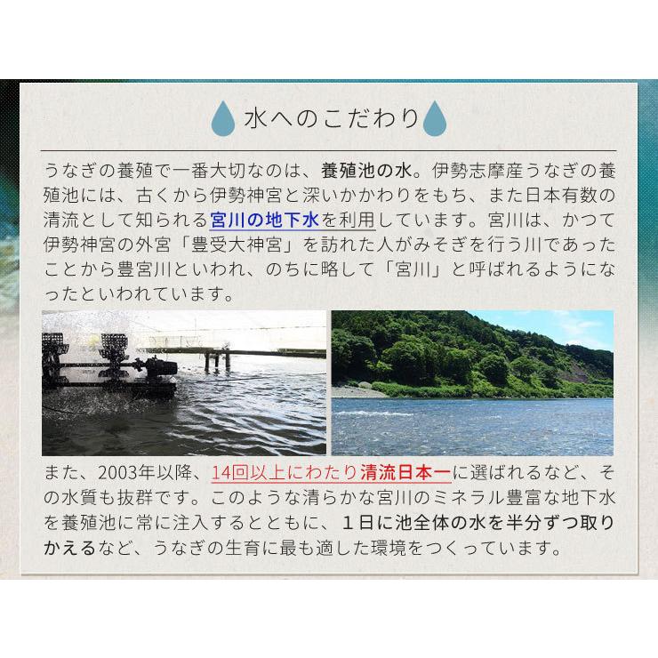 うなぎ 伊勢志摩産 たれ 特大サイズ ２尾 たれ付 送料無料 国産 ウナギ 鰻 蒲焼き 丑の日 個包装 冷凍 化粧箱入 お歳暮 ギフト