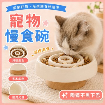 ❤️隔日到貨❤️寵物陶瓷慢食碗 寵物碗 貓碗 狗碗 寵物食盤 陶瓷碗 防噎碗 防暴食 護頸碗 寵物飼料碗 餵食碗
