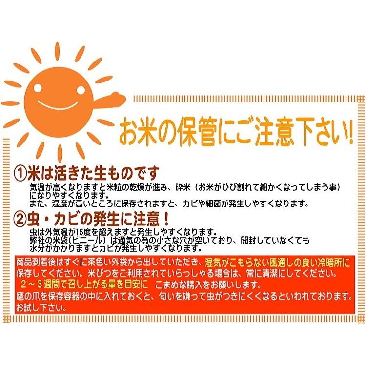 新米 米 玄米 20kg 5kg×4袋 コシヒカリ 福井県産 令和5年産 送料無料