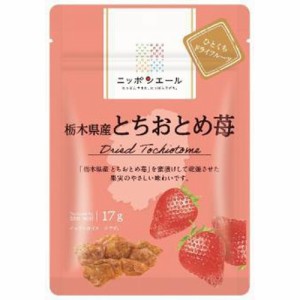 全国農協食品 栃木県産とちおとめ苺17g ×6