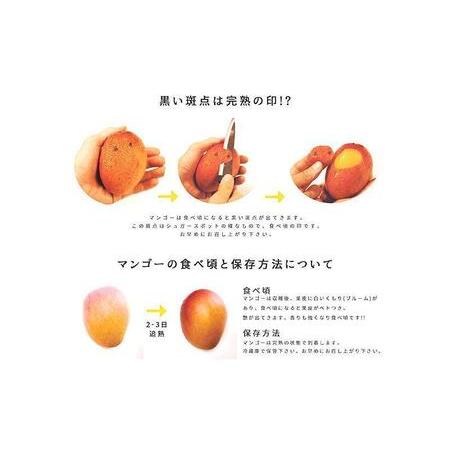 ふるさと納税 2024年発送完熟マンゴー 2kg（4〜6玉）ご家庭用 おんなの駅（恩納村産） 沖縄県恩納村