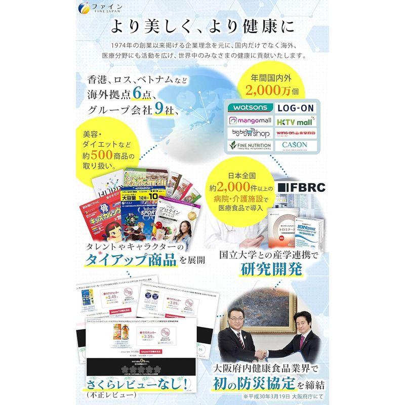 ファイン 野菜スープ コンソメタイプ 食物繊維 ヘム鉄配合 国内生産 12食入り×2個セット