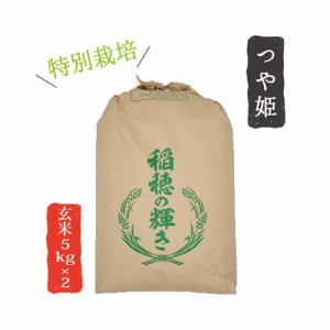 令和4年産 山形県産 米 つや姫 5kg×2 玄米 お米 産直 産地直送 お土産 観光地応援 ギフト プレゼント コクブン直送