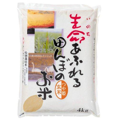 宮城県産  つや姫 生命あふれる田んぼのお米 無化学肥料 20kg 令和5年産