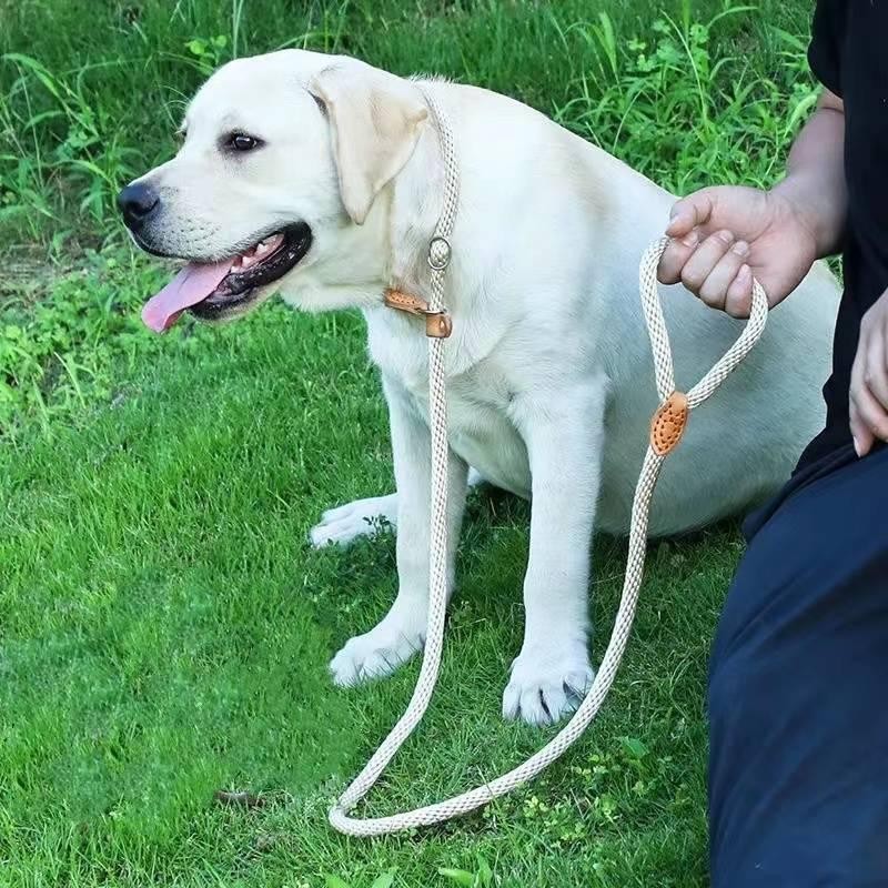 犬 リード 首輪 小型犬 中型犬 シンプル おしゃれ かわいい チワワ トイプードル ナイロン 犬用 散歩 お出かけ 抜けない 脱走防止 1 5m 1 通販 Lineポイント最大0 5 Get Lineショッピング