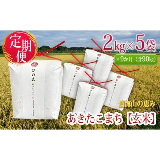 ふるさと納税 秋田県 にかほ市 《定期便》10kg×9ヶ月 秋田県産 あきたこまち 玄米 2kg×5袋 神宿る里の米「ひの米」（お米 小分け）