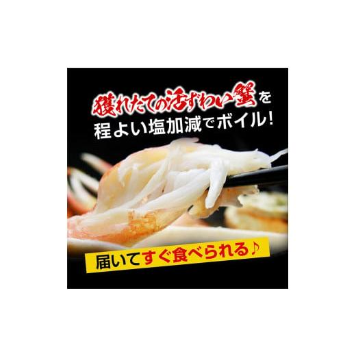 ふるさと納税 茨城県 大洗町 カジマ×ますよね！ ボイル 本ズワイガニ足 3kg！ ズワイガニ ズワイ蟹 ずわい かに かに足 蟹足 足 かに脚 蟹脚 脚 かに鍋 蟹鍋 …