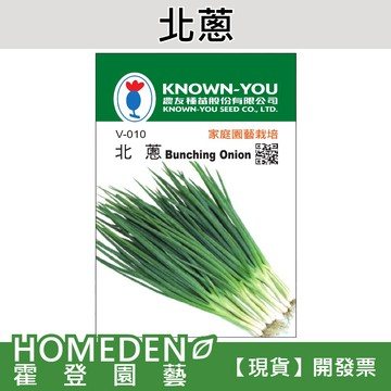 【隔日到貨】北蔥 V-010 蔬菜種子 農友牌 小包裝種子 約200粒/包【HOMEDEN霍登園藝】