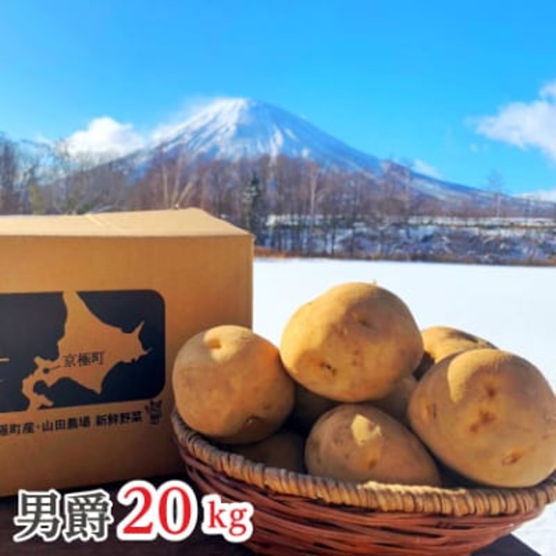 北海道産じゃがいも〈男爵〉20kg[京極町]山田農場[No.5225-0120]　LINEショッピング