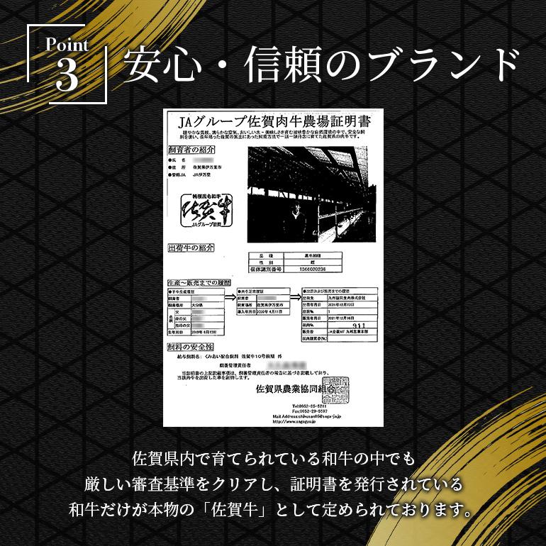 黒毛和牛 佐賀牛 ヒレステーキ 400g (200g×2枚) フィレステーキ 牛肉 お肉 バーベキュー BBQ キャンプ アウトドア A5ランク〜B4ランク